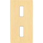 MODELEC - Facade M Laiton Brosse Double Verticale 1 Bouton 1 Bouton magnetique