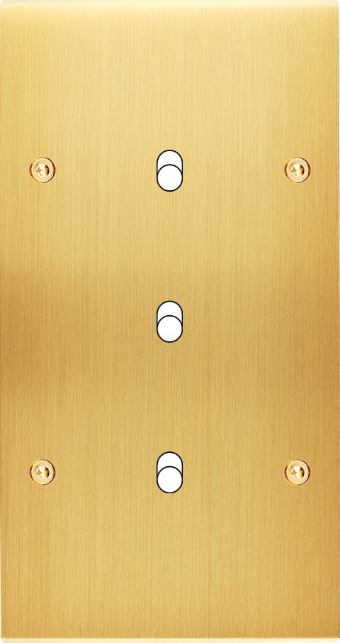 MODELEC - Façade Confidence Laiton Satine Double Verticale B3 à Vis