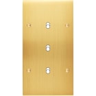 MODELEC - Façade Confidence Laiton Satine Double Verticale B3 à Vis