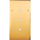 MODELEC - Façade Confidence Laiton Or Miroir Double Verticale B3 à Vis