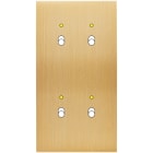 MODELEC - Façade Confidence Laiton Brosse Double Verticale B2+Led B2+Led Magnetique
