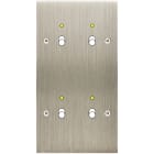 MODELEC - Façade Confidence Laiton Acier Brosse Double Verticale B2+Led B2+Led à Vis