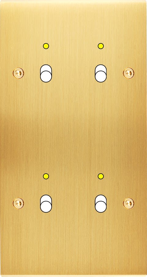 MODELEC - Façade Confidence Laiton Satine Double Verticale B2+Led B2+Led à Vis