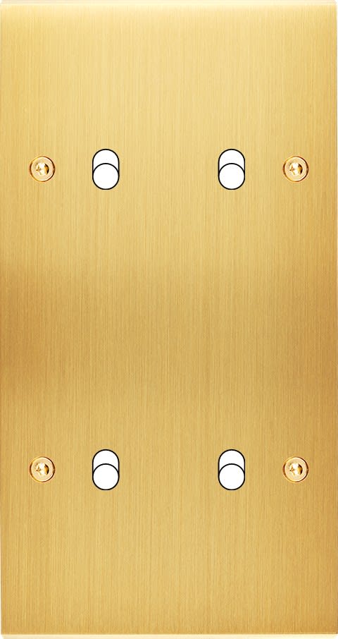 MODELEC - Façade Confidence Laiton Satine Double Verticale B2 B2 à Vis