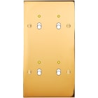 MODELEC - Façade Confidence Laiton Or Miroir Double Verticale B2+Led B2+Led à Vis