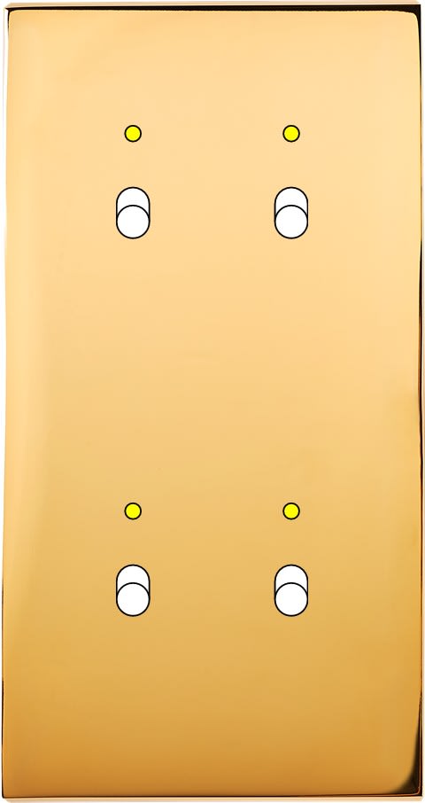 MODELEC - Façade Confidence Laiton Or Miroir Double Verticale B2+Led B2+Led Magnetique