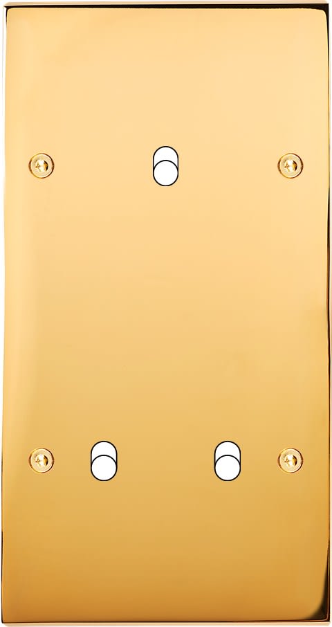 MODELEC - Façade Confidence Laiton Or Miroir Double Verticale B1 B2 à Vis