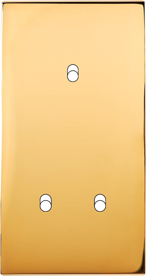 MODELEC - Façade Confidence Laiton Or Miroir Double Verticale 3 Basculeurs Eloignes
