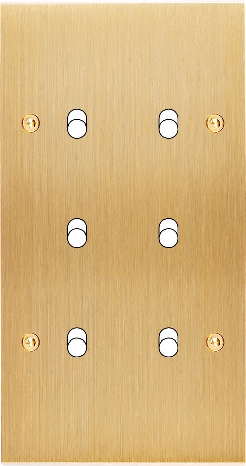 MODELEC - Façade Confidence Laiton Brosse Double Verticale B6 à Vis