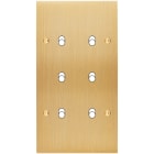 MODELEC - Façade Confidence Laiton Brosse Double Verticale B6 à Vis