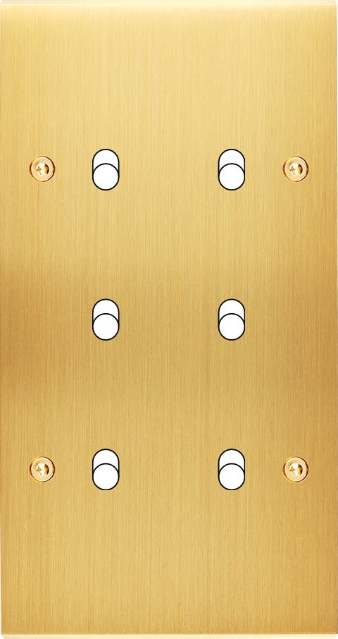 MODELEC - Façade Confidence Laiton Satine Double Verticale B6 à Vis