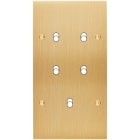 MODELEC - Façade Confidence Laiton Brosse Double Verticale B5 à Vis
