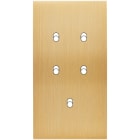 MODELEC - Façade Confidence Laiton Brosse Double Verticale 5 Basculeurs