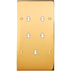 MODELEC - Façade Confidence Laiton Or Miroir Double Verticale B5 à Vis