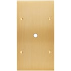 MODELEC - Façade Confidence Laiton Brosse Double Verticale P1 à Vis