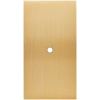 MODELEC - Façade Confidence Laiton Brosse Double Verticale 1 Push