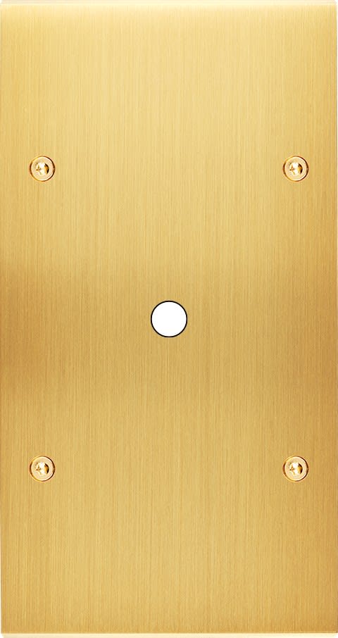 MODELEC - Façade Confidence Laiton Satine Double Verticale P1 à Vis