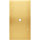 MODELEC - Façade Confidence Laiton Satine Double Verticale P1 à Vis