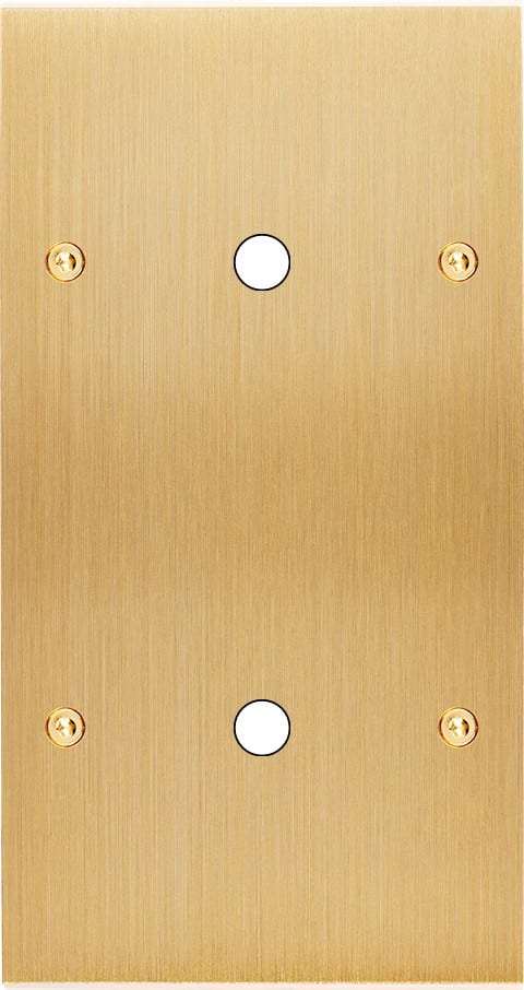 MODELEC - Façade Confidence Laiton Brosse Double Verticale P1 P1 à Vis