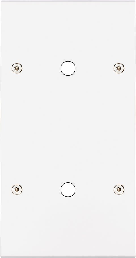 MODELEC - Façade Confidence Laiton Blanc Mat Double Verticale P1 P1 à Vis