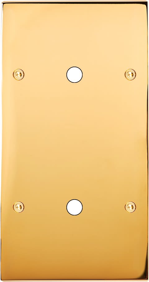 MODELEC - Façade Confidence Laiton Or Miroir Double Verticale P1 P1 à Vis