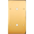 MODELEC - Façade Confidence Laiton Or Miroir Double Verticale P1 P1 à Vis