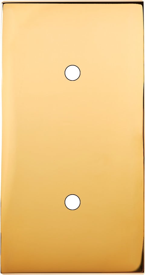 MODELEC - Façade Confidence Laiton Or Miroir Double Verticale 2 Push