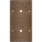 MODELEC - Façade Fascination Laiton Coslan Double Verticale P1 P1 à Vis