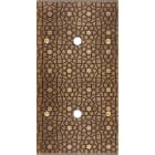 MODELEC - Façade Fascination Laiton Atlas Double Verticale P1 P1 à Vis