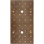 MODELEC - Façade Fascination Laiton Atlas Double Verticale P1 P1 à Vis