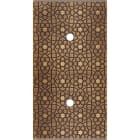 MODELEC - Façade Fascination Laiton Atlas Double Verticale 2 Push