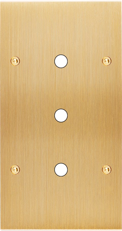 MODELEC - Façade Confidence Laiton Brosse Double Verticale P3 à Vis