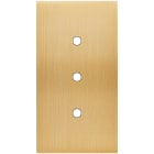 MODELEC - Façade Confidence Laiton Brosse Double Verticale 3 Push