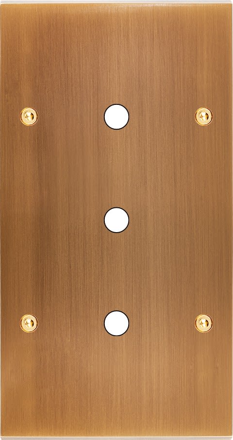 MODELEC - Façade Confidence Laiton Vieux Bronze Double Verticale P3 à Vis