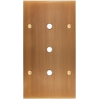 MODELEC - Façade Confidence Laiton Vieux Bronze Double Verticale P3 à Vis