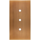 MODELEC - Façade Confidence Laiton Vieux Bronze Double Verticale 3 Push
