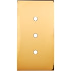 MODELEC - Façade Confidence Laiton Or Miroir Double Verticale 3 Push