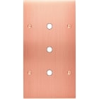 MODELEC - Façade Confidence Laiton Cuivre Satine Double Verticale P3 à Vis