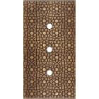 MODELEC - Façade Fascination Laiton Atlas Double Verticale 3 Push