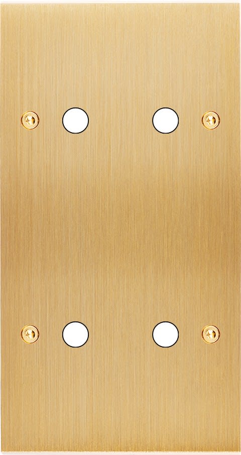 MODELEC - Façade Confidence Laiton Brosse Double Verticale P2 P2 à Vis