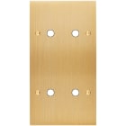 MODELEC - Façade Confidence Laiton Brosse Double Verticale P2 P2 à Vis