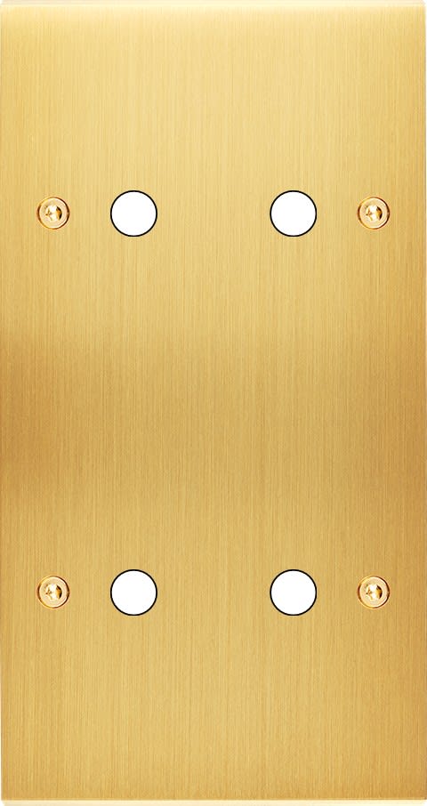 MODELEC - Façade Confidence Laiton Satine Double Verticale P2 P2 à Vis