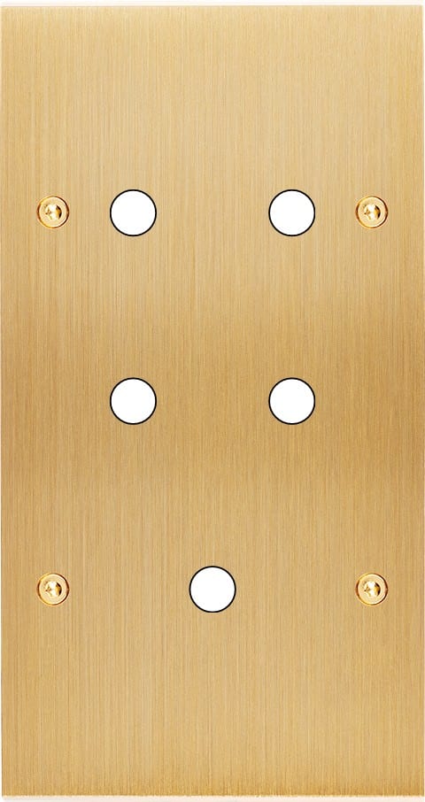 MODELEC - Façade Confidence Laiton Brosse Double Verticale P5 à Vis