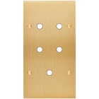 MODELEC - Façade Confidence Laiton Brosse Double Verticale P5 à Vis