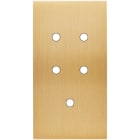 MODELEC - Façade Confidence Laiton Brosse Double Verticale 5 Push