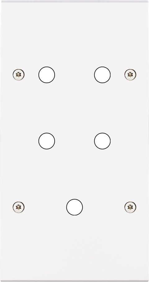 MODELEC - Façade Confidence Laiton Blanc Mat Double Verticale P5 à Vis