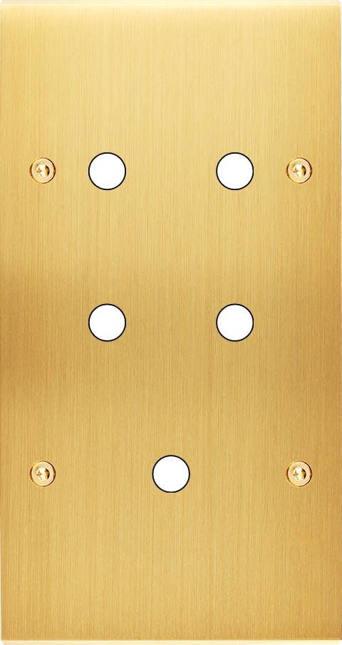 MODELEC - Façade Confidence Laiton Satine Double Verticale P5 à Vis