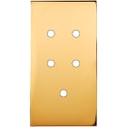 MODELEC - Façade Confidence Laiton Or Miroir Double Verticale 5 Push