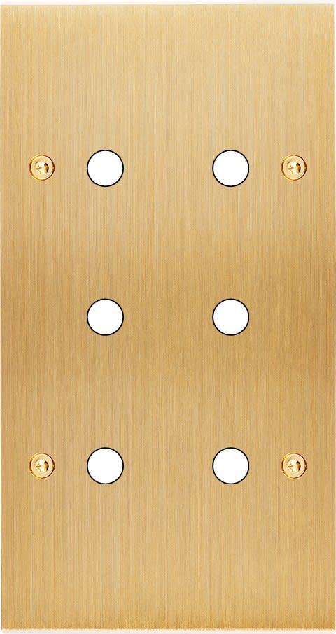 MODELEC - Façade Confidence Laiton Brosse Double Verticale P6 à Vis