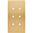 MODELEC - Façade Confidence Laiton Brosse Double Verticale P6 à Vis